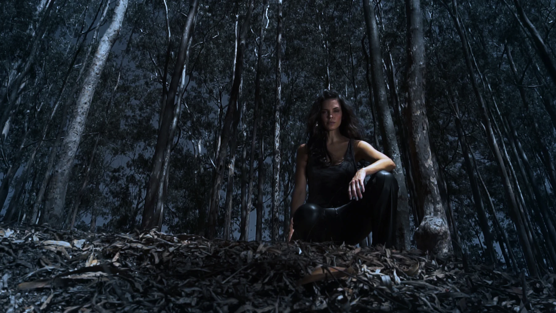 Wöllner — Coleção Silver na floresta