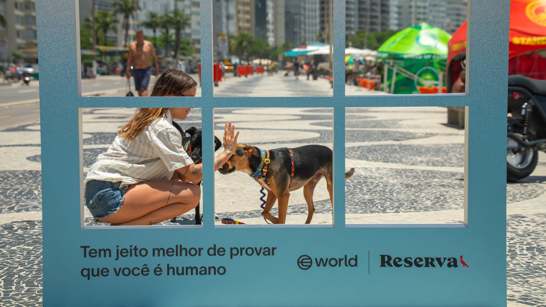 Pessoa e cachorro enquadrados pela instalação no calçadão